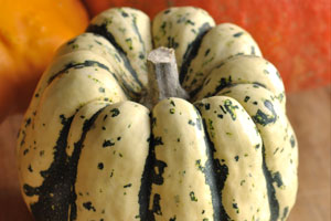 Courge patidou